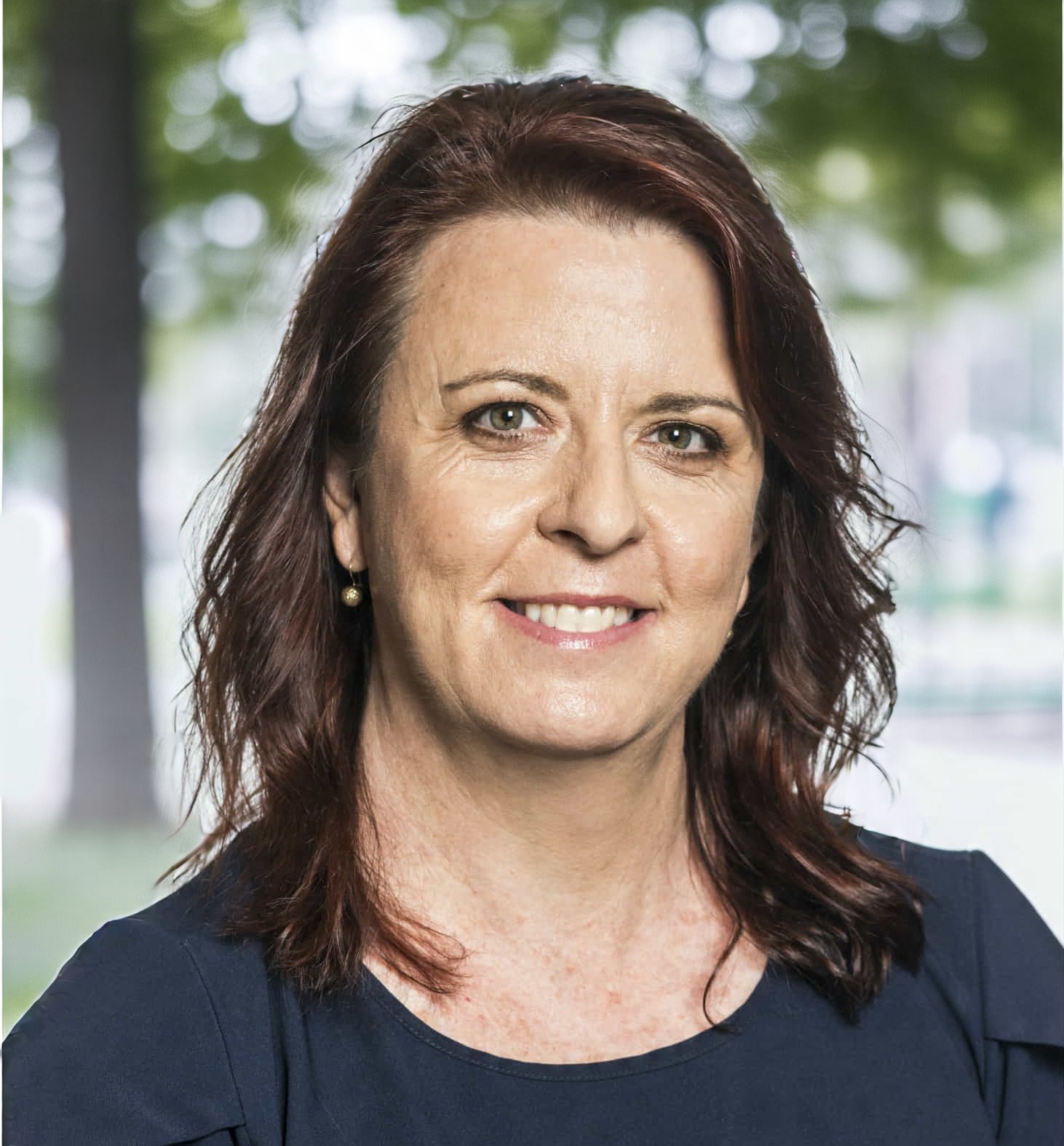 Mornington Shire Council