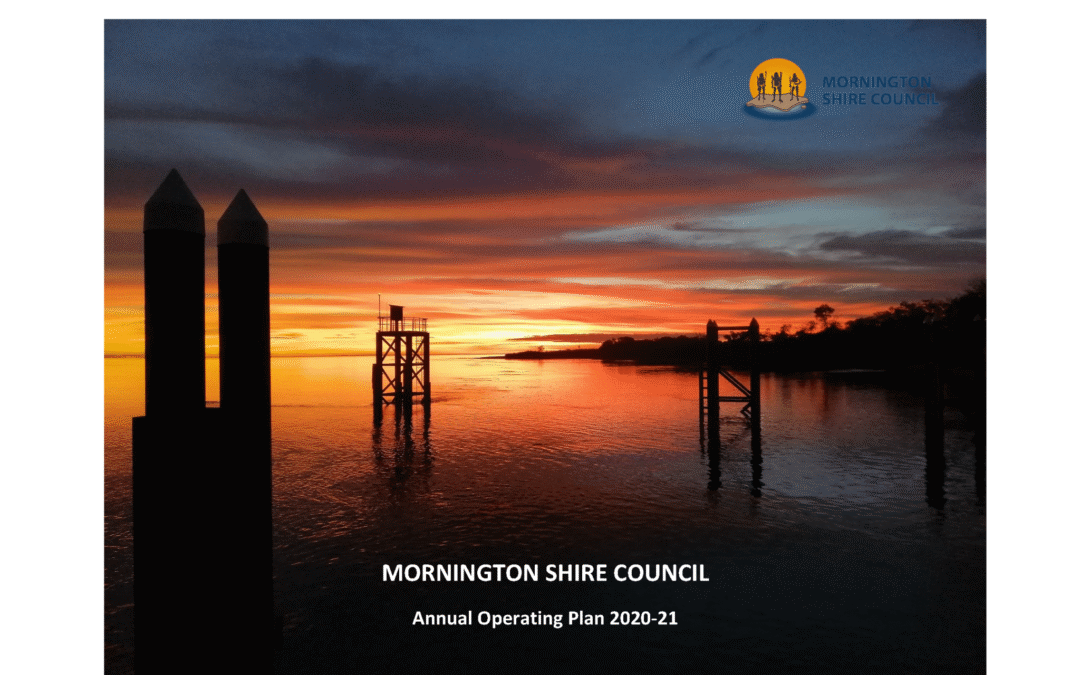 Council Endorses Annual Operating Plan 2020-2021